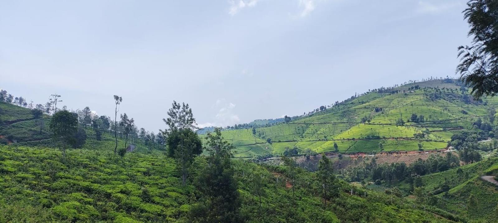 Sandy 4 Bhk Homestay - Only Adults Allowed Ooty Exterior photo